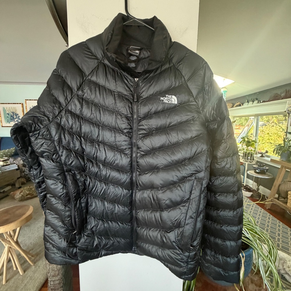 The North Face Puffer Jacket Mens Large Black Down Insulated Coat Gorpcore